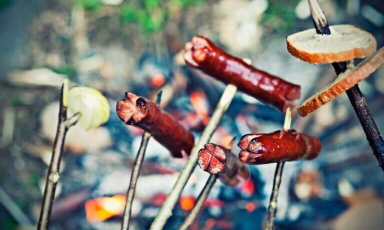 Definition of snag Sunshine and Snags