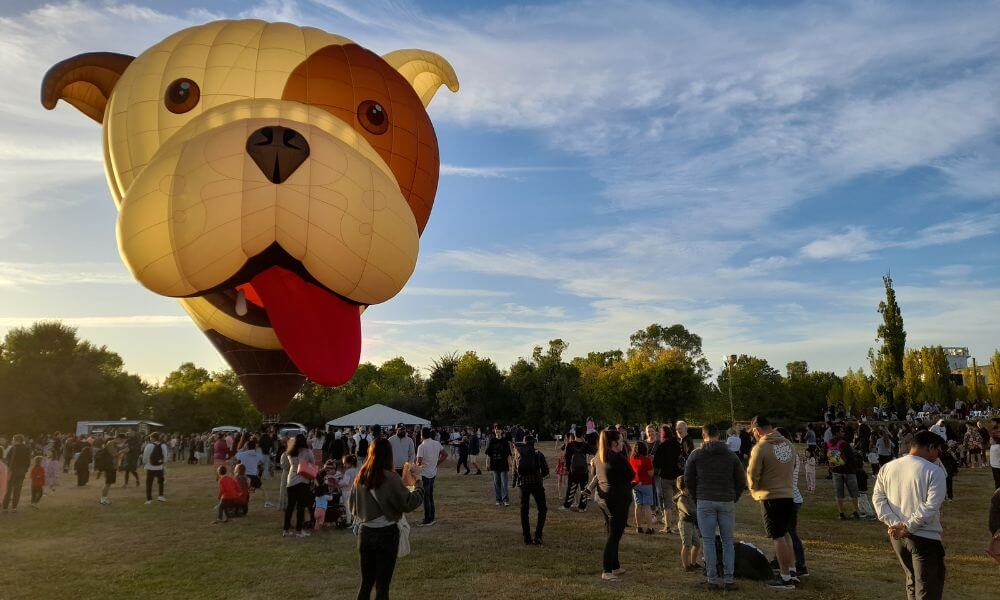 Canberra Balloon festival