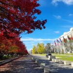 Canberra in Autumn