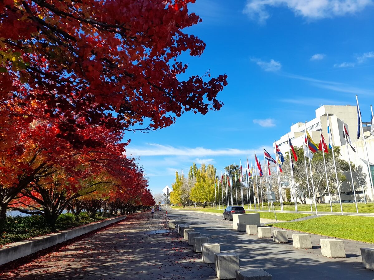 Canberra in Autumn