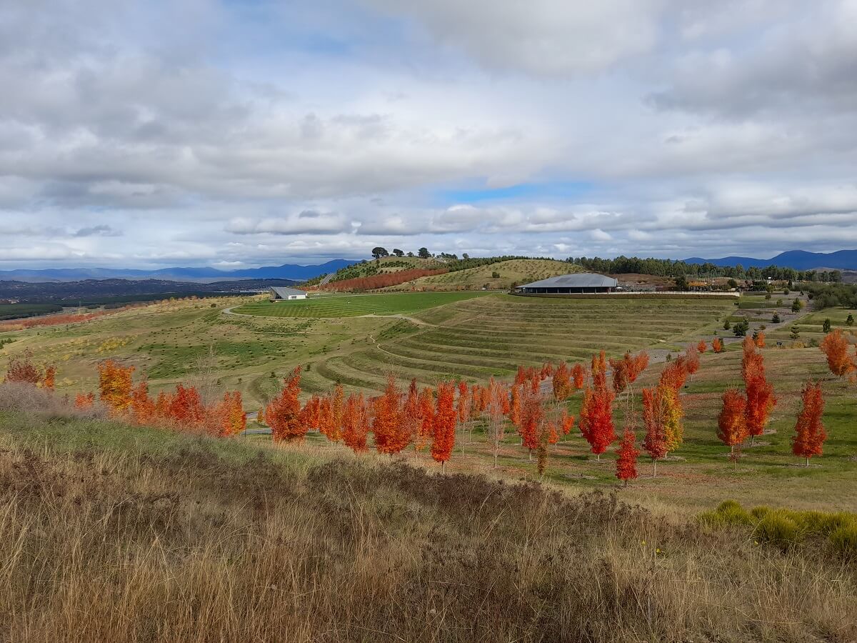 National Arboretum Canberra Autumn