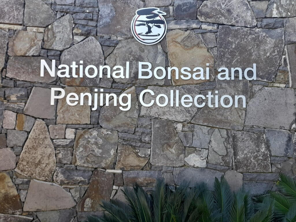 National Bonsai and Penjing Collection